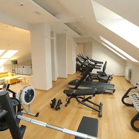 Zepter Belgrade, Member Of Zepter Belgrado